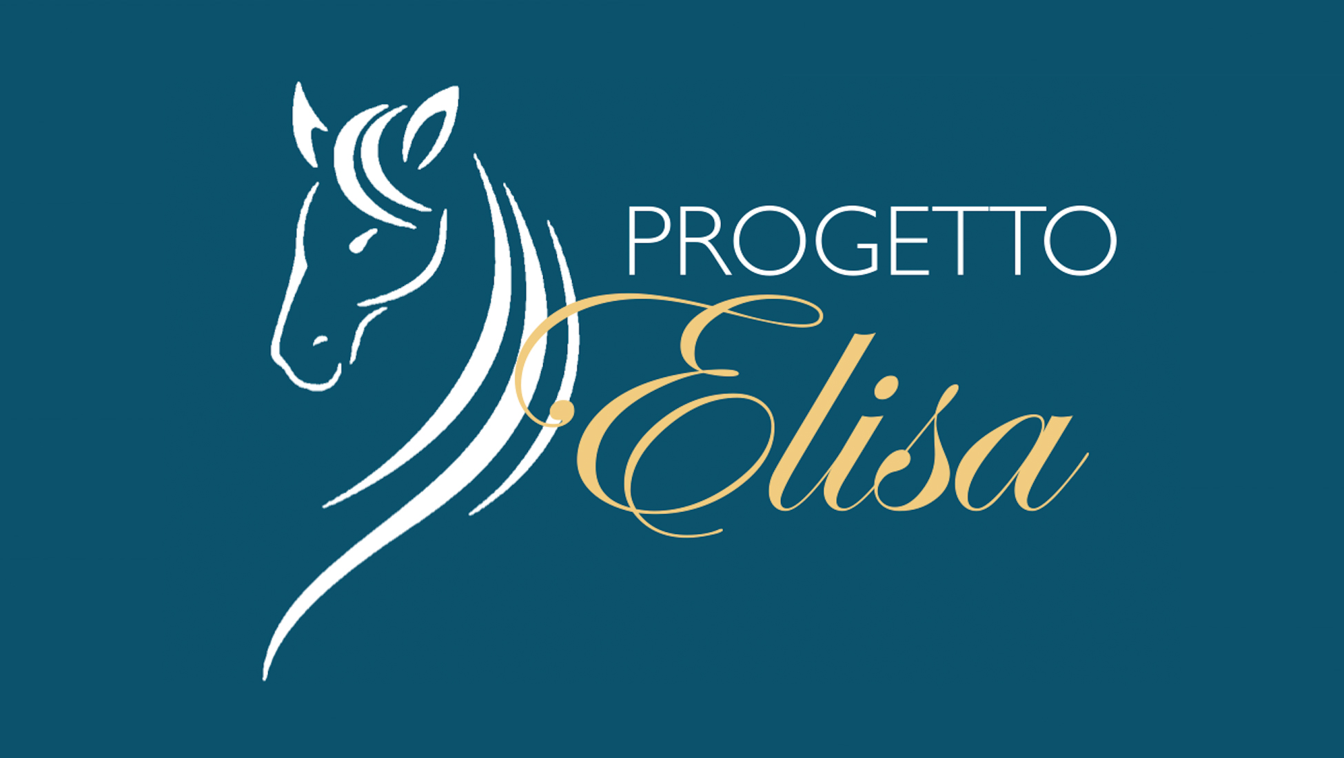 Nel nome di Elisa Associazione Voglia di Vivere
