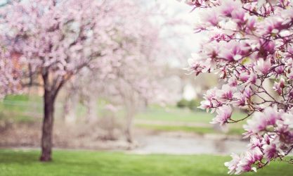 Primavera e speranza per affrontare la stanchezza da pandemia